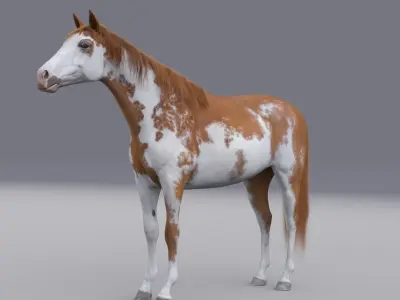 Horse 3D model