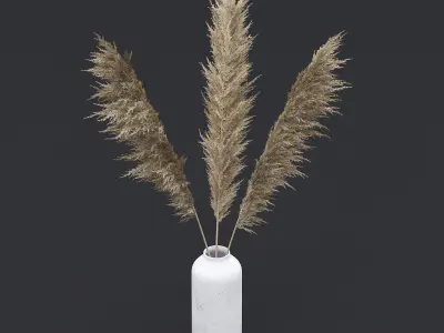 Pampas Grass I 3D model