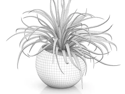 Plant in Sphere Pot 3D model