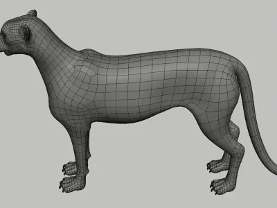 Cheetah Model Low-poly 3D model