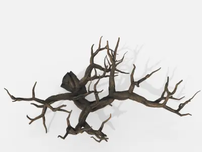 Aquarium Snag V21 3D model