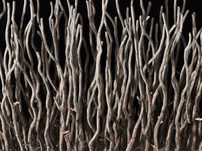 Branch folding screen decor n3 3D model