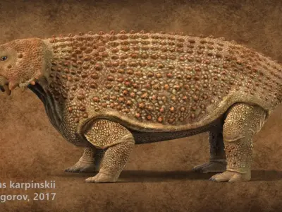 Scutosaurus karpinskii Low-poly 3D model