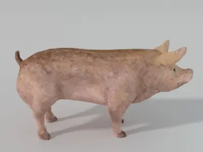 Standard Pig Low-poly 3D model