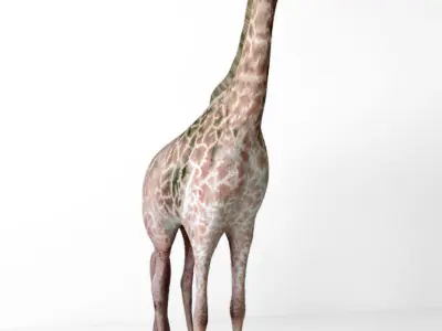 Giraffes full body Low-poly 3D model