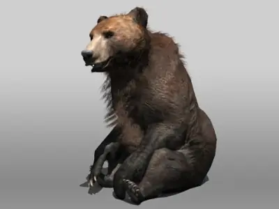 Grizzly Bear Low-poly 3D model