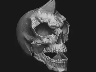 Skull 3D print model