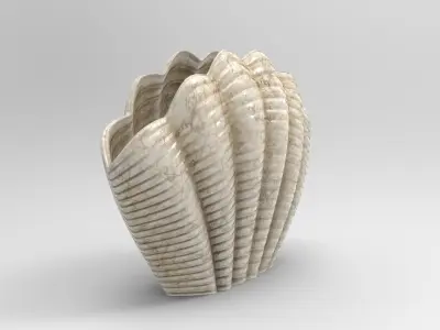 Seashell Vase Low-poly 3D model