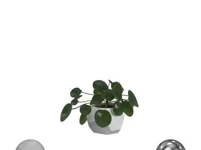 The Monet plant 3D model