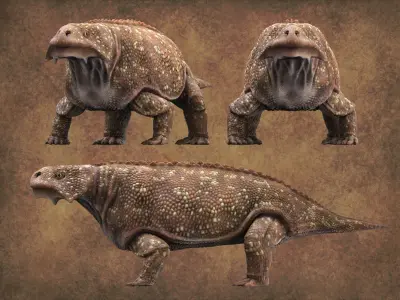 Bradysaurus baini Low-poly 3D model