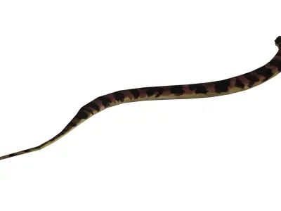 Low poly grass-snake snake Low-poly 3D model