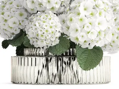 Beautiful  bouquet decoration glass vase white hydrangea 603 3D model