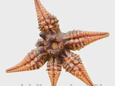 Sunflower Star Marine Creature Model with Detailed Texture Low-poly 3D model