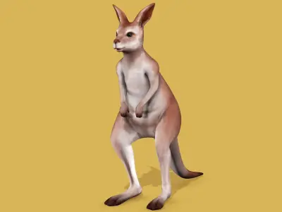 KANGAROO RIGGED ANIMATED 3 Low-poly 3D model