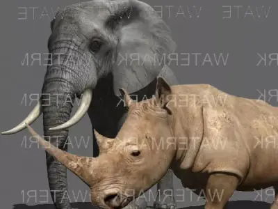 African heavy pack - 3d model 3D model