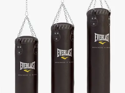 Punching Bag Set 3D model
