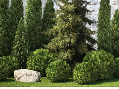 Garden with thuja cypress pine and topiary plant 1381 3D model