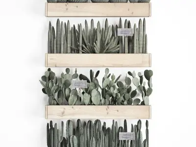 Cactus set wall decor vertical garden 42 3D model