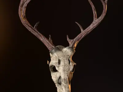 Deer Skull Mask Low-poly 3D model