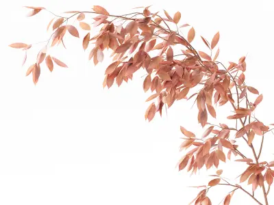 Plants Bouquet 05 3D model