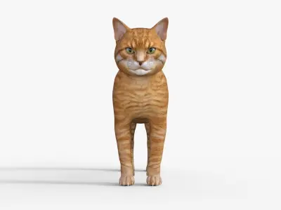 Yellow 3D Cat Rigged 3D model