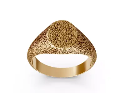 stone rock ring 3D print model