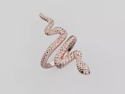 Snake Ring 3D print model