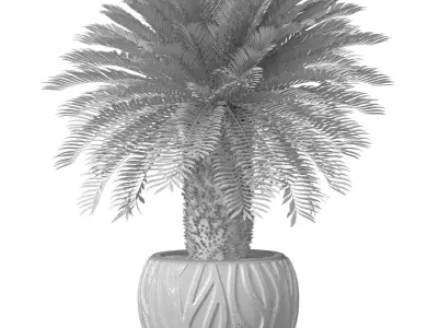 Decorative Evergreen Palm Tree in modern outdoor flowerpot 3D model