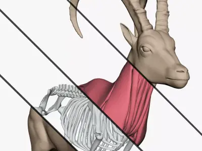 IBEX MODEL - VFX SIMULATION READY 3D model