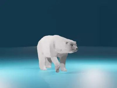 Polar Bear 3D model