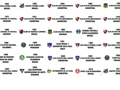 Copa Libertadores de America 3D model