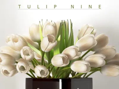 white tulip 9 3D model