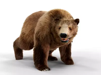 Brown Bear Fur Animated  Low-poly 3D model