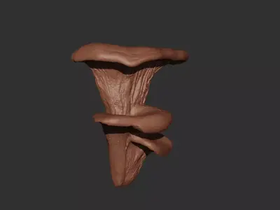 Mushroom Wall Art 3D print model