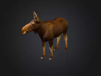 Photorealistic Female Moose Low-poly 3D model