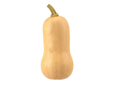 Photorealistic Butternut Squash 3D Scan 3D model