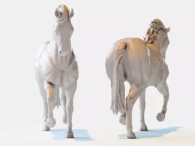 Horse 3D model 40