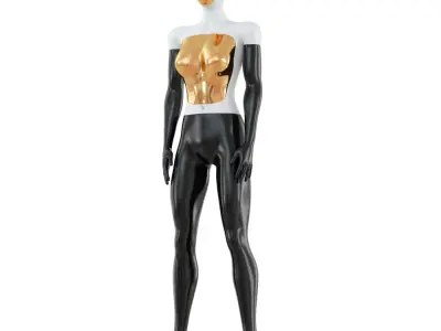 Female Abstract Mannequin 90 3D model