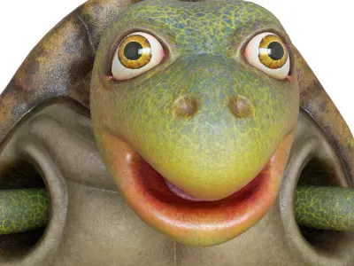 Cartoon Turtle Low-poly 3D model