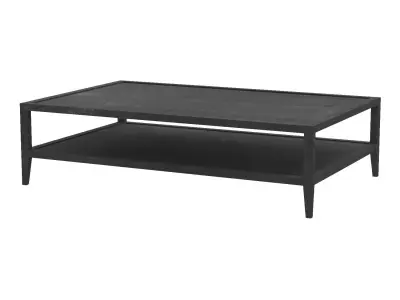 French Contemporary Coffee Table 3D model