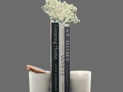 Decor flower Gypsophila books candle Set 46 3D model
