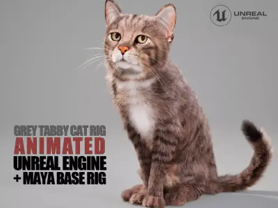 Cat Grey Tabby Animated UNREAL project  Maya base rig 3D model
