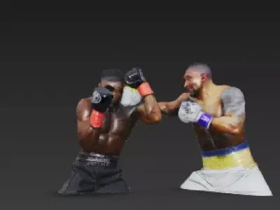 Usyk vs Joshua Boxing Match 3D print model