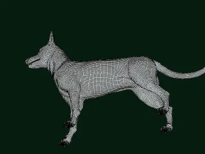 Zwergpinscher Dog Breed 3D model