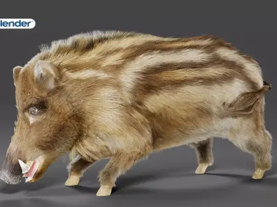 Fur Wild Boar V03 Rigged  Low-poly 3D model