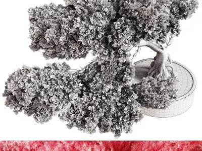 Indoor plants 76 - Plant in pot 3D model