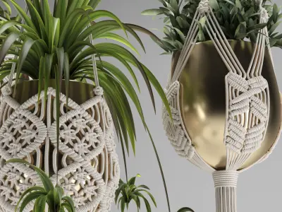 Macrame Plants Hanger 3D model