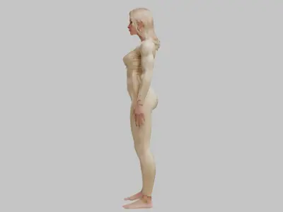 Stylized Female Character 3D Model Low-poly 3D model