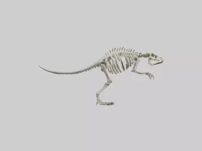 guanodon Skeleton model Low-poly 3D model