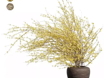 Flower In Vase Collection 04